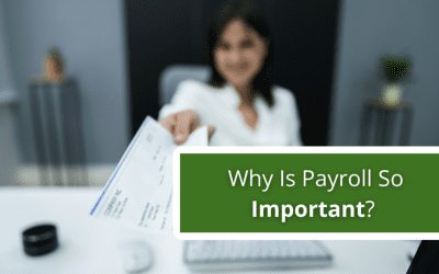 Why Is Payroll So Important?