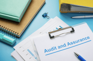 Auditing and Assurance Services