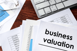 Business Valuation and Transaction Advisory Services
